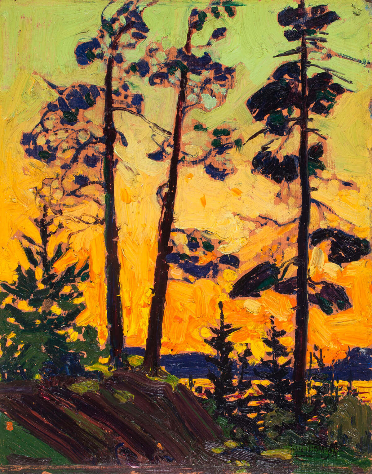 Tom Thomson, Pins au coucher du soleil, 1915