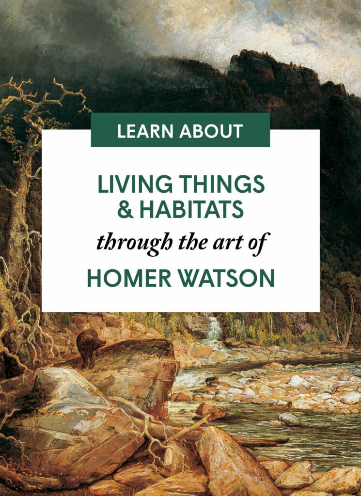 Living Things & Habitats through the art of Homer Watson