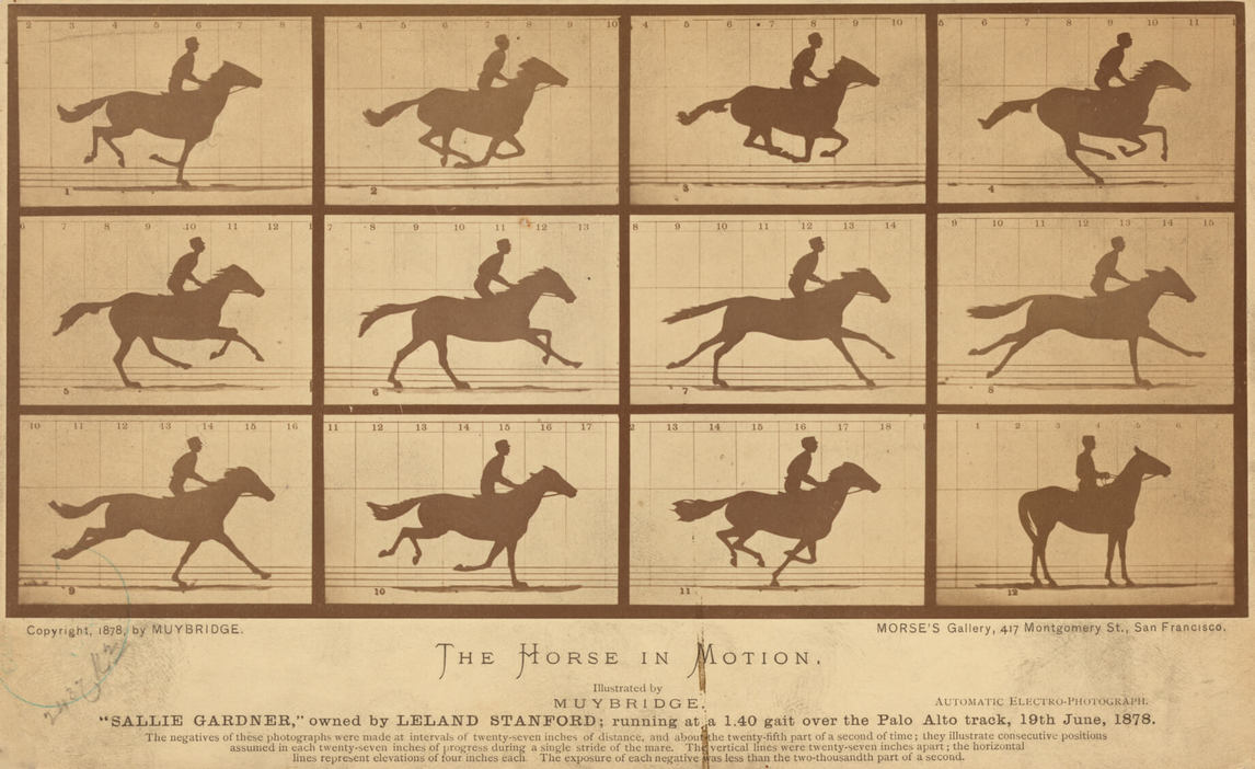 Art Canada Institute, Eadweard Muybridge, The Horse in Motion: “Sallie Gardner,” Owned by Leland Stanford, c. 1878