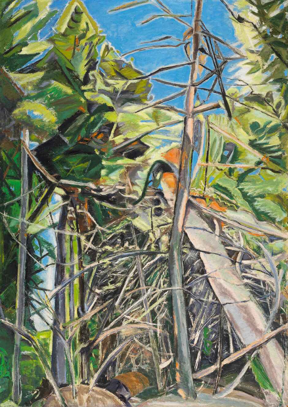 Art Canada Institute, Paraskeva Clark, Canoe Lake Woods, 1952