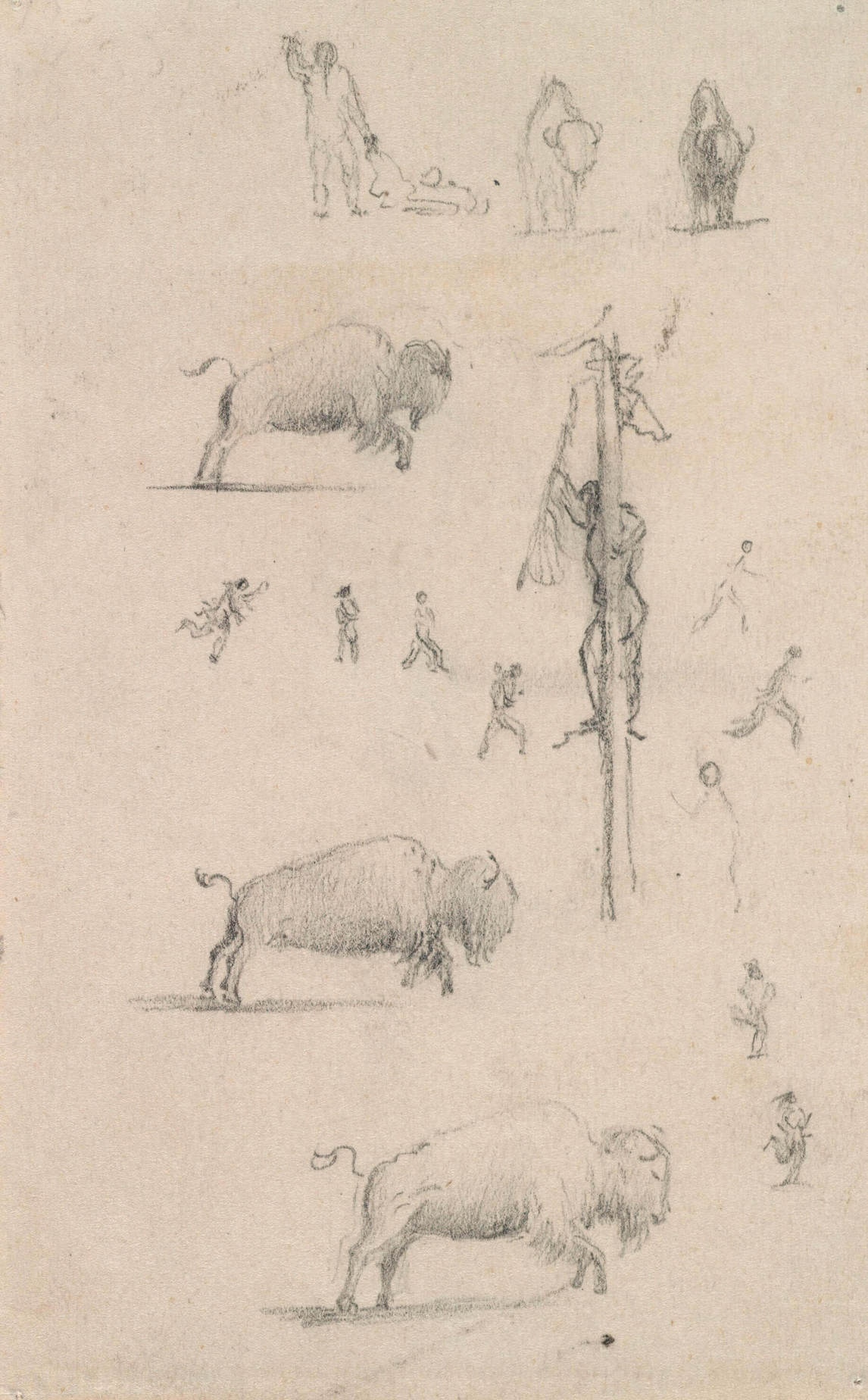 Art Canada Institute, Paul Kane, Buffalo Hunt Studies, 1846