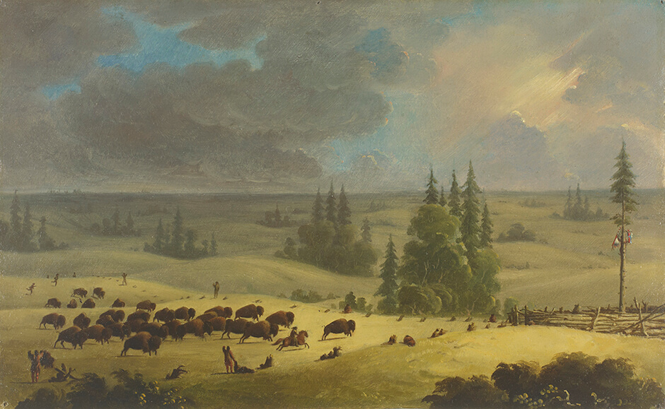 Art Canada Institute, Paul Kane, The Buffalo Pound, c. 1846–49