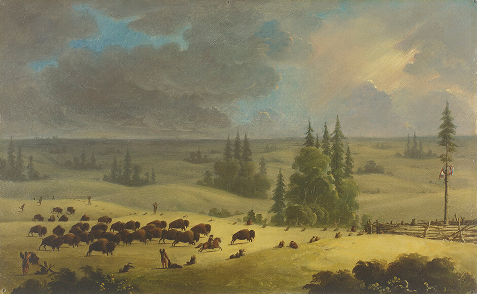 Paul Kane, The Buffalo Pound, c. 1846–49