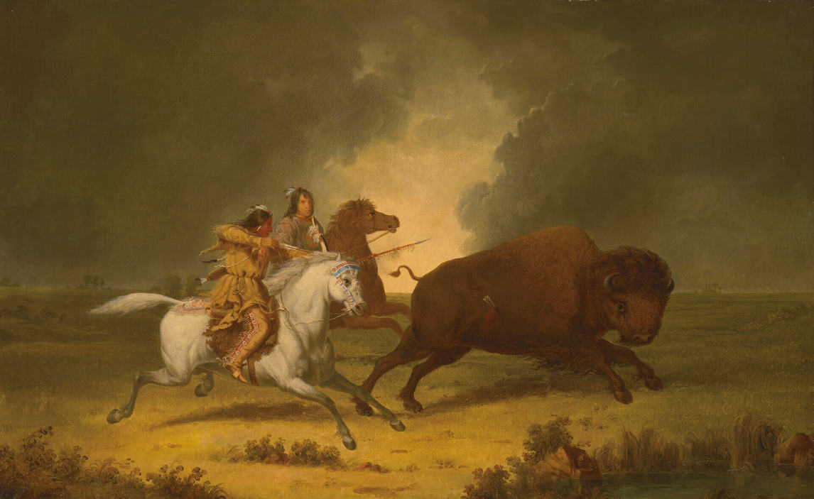 Art Canada Institute, Paul Kane, Running Buffalo, Assiniboine, c. 1849–56