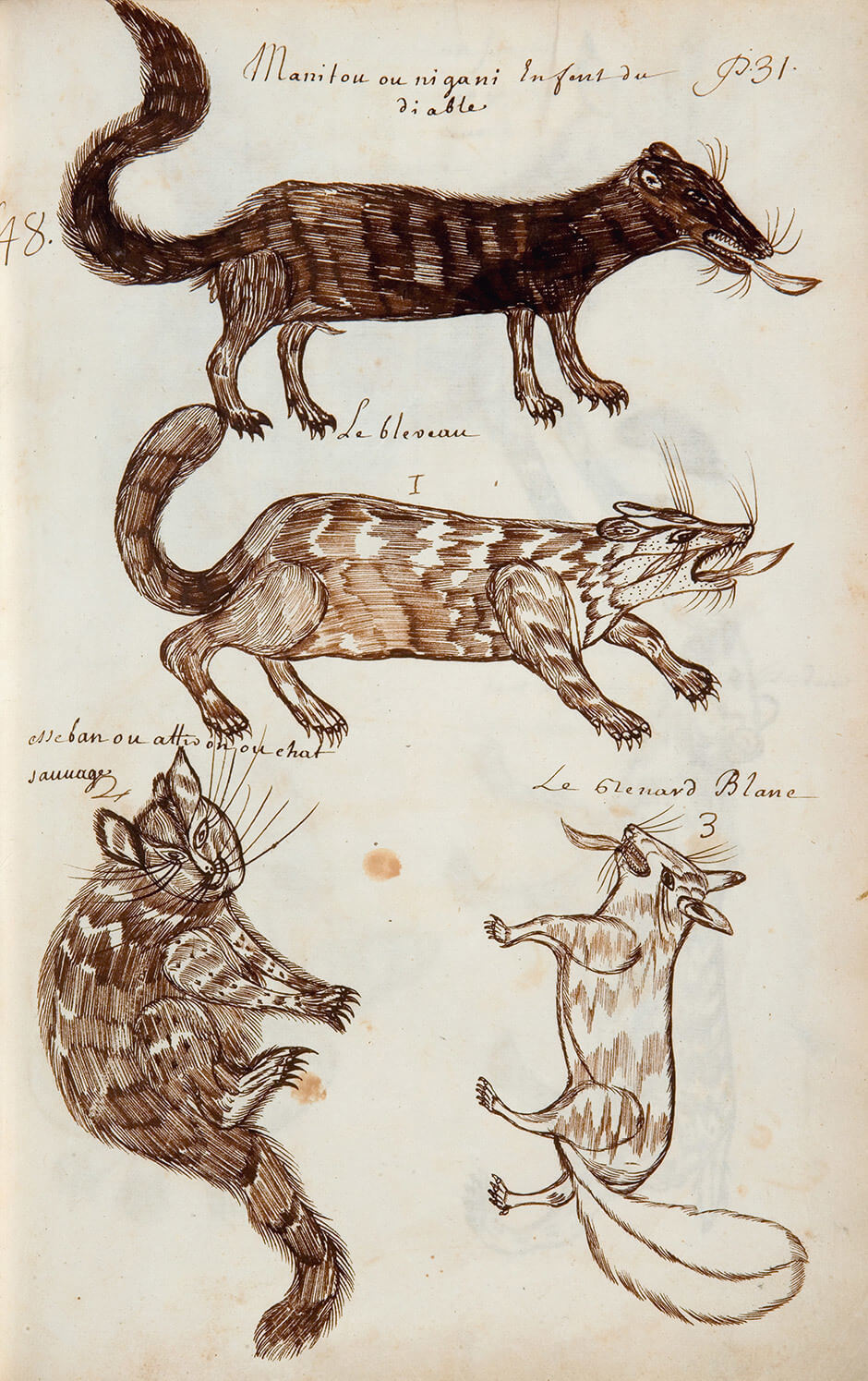 Art Canada Institute, Louis Nicolas, Manitou or Nigani, Devil’s Child (Manitou ou nigani Enfant du diable), Codex Canadensis
