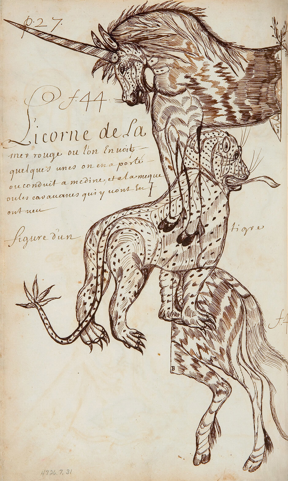 Louis Nicolas, Licorne de la mer rouge, s. d.