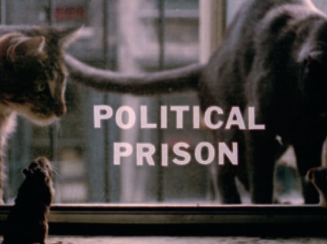 Art Canada Institute, Joyce Wieland, film still of Rat Life and Diet in North America, 1968