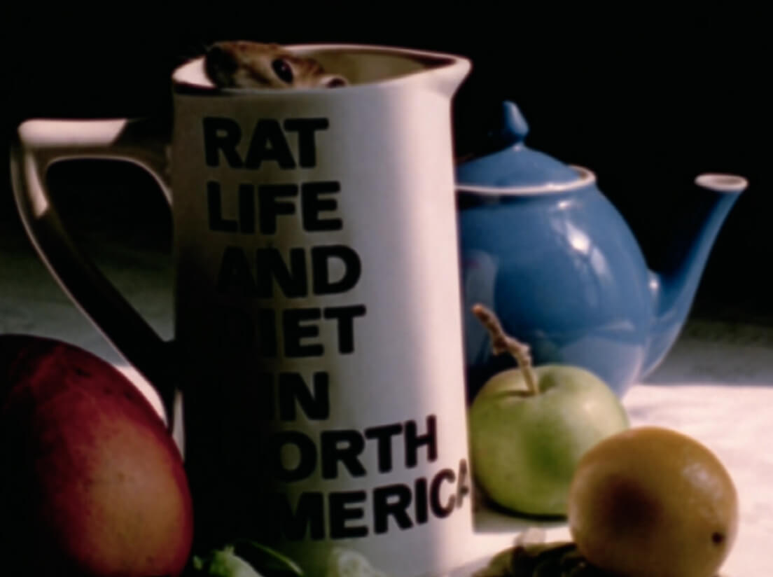 Art Canada Institute, Joyce Wieland, Rat Life and Diet in North America, 1968