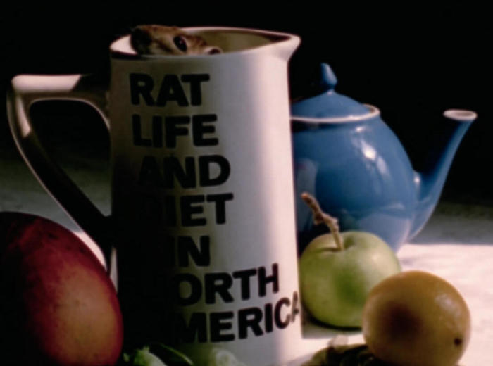 Joyce Wieland, Rat Life and Diet in North America, 1968