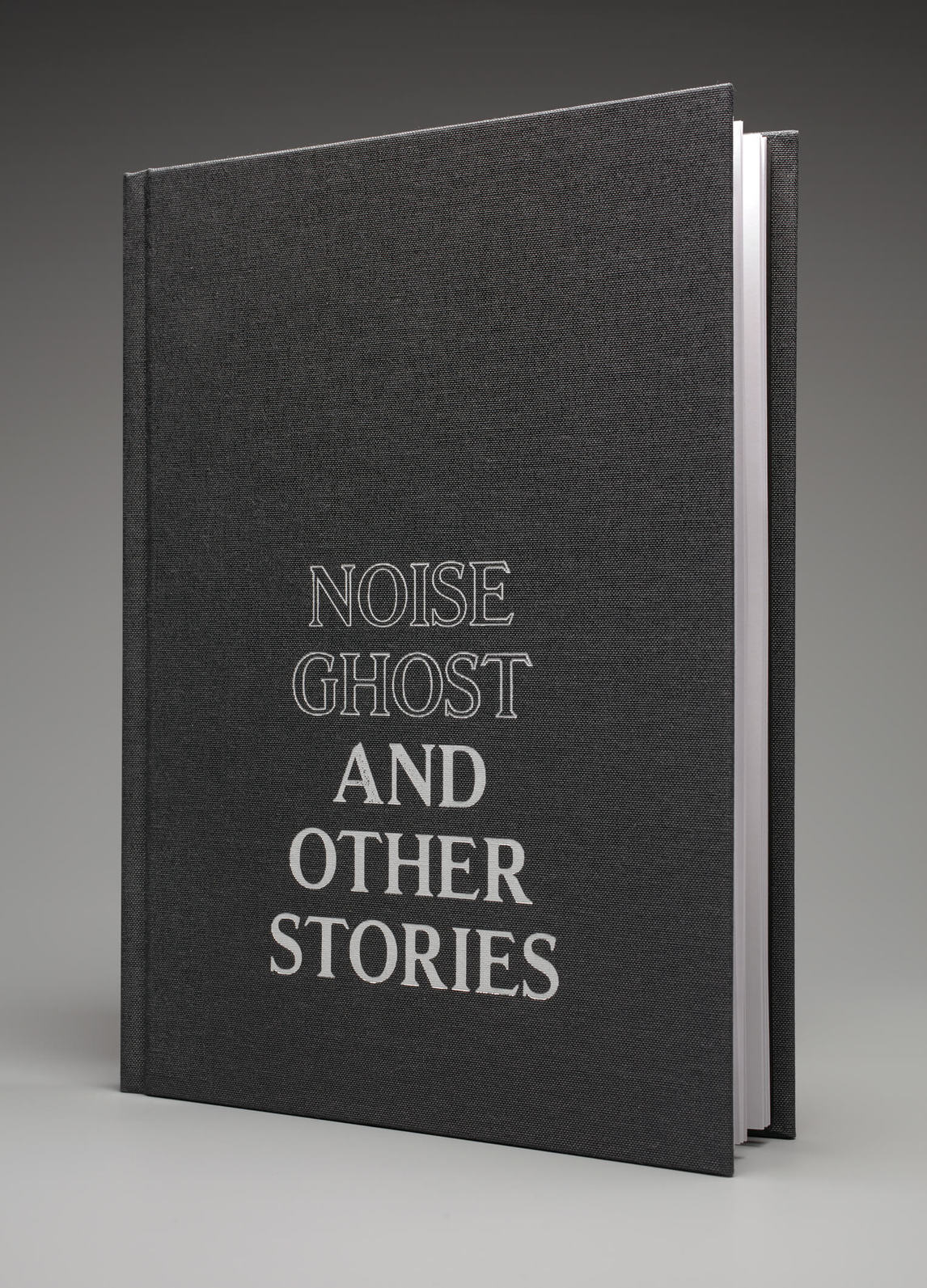 Art Canada Institute, Ian Lefebvre, photograph of catalogue for the exhibition Noise Ghost and Other Stories