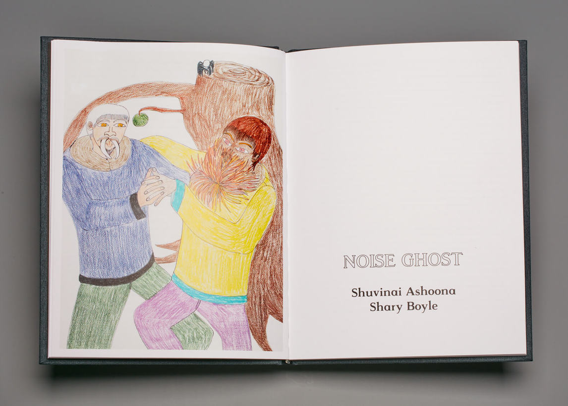Art Canada Institute, Sean Weaver, photograph of interior spread of catalogue for the exhibition Noise Ghost and Other Stories