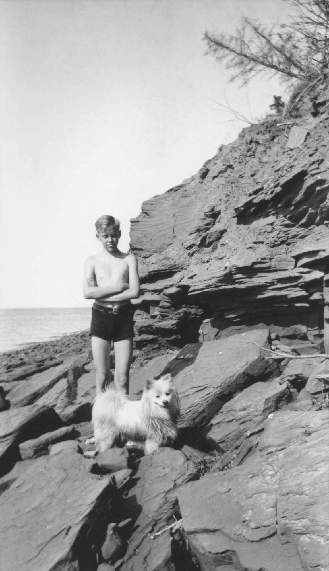 Art Canada Institute, Alex Colville,