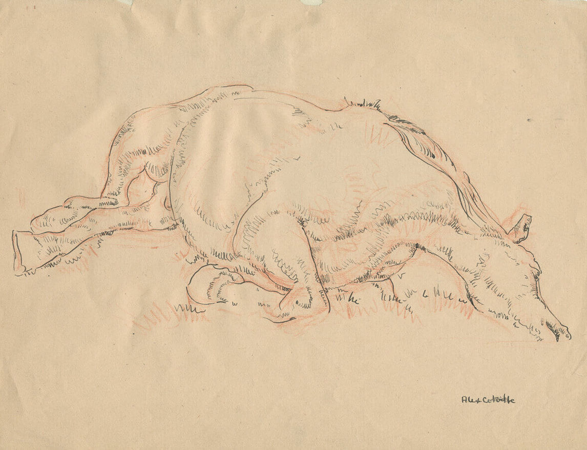 Art Canada Institute, Alex Colville, Sketch Drawing, A Dead Horse (Esquisse, Un cheval mort), 1945