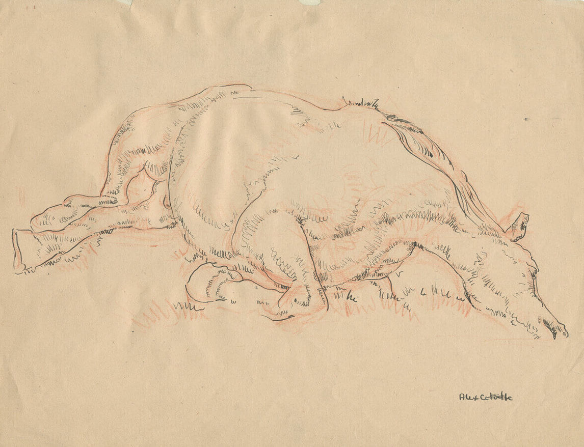 Art Canada Institute, Alex Colville, Sketch Drawing, A Dead Horse (Esquisse, Un cheval mort), 1945