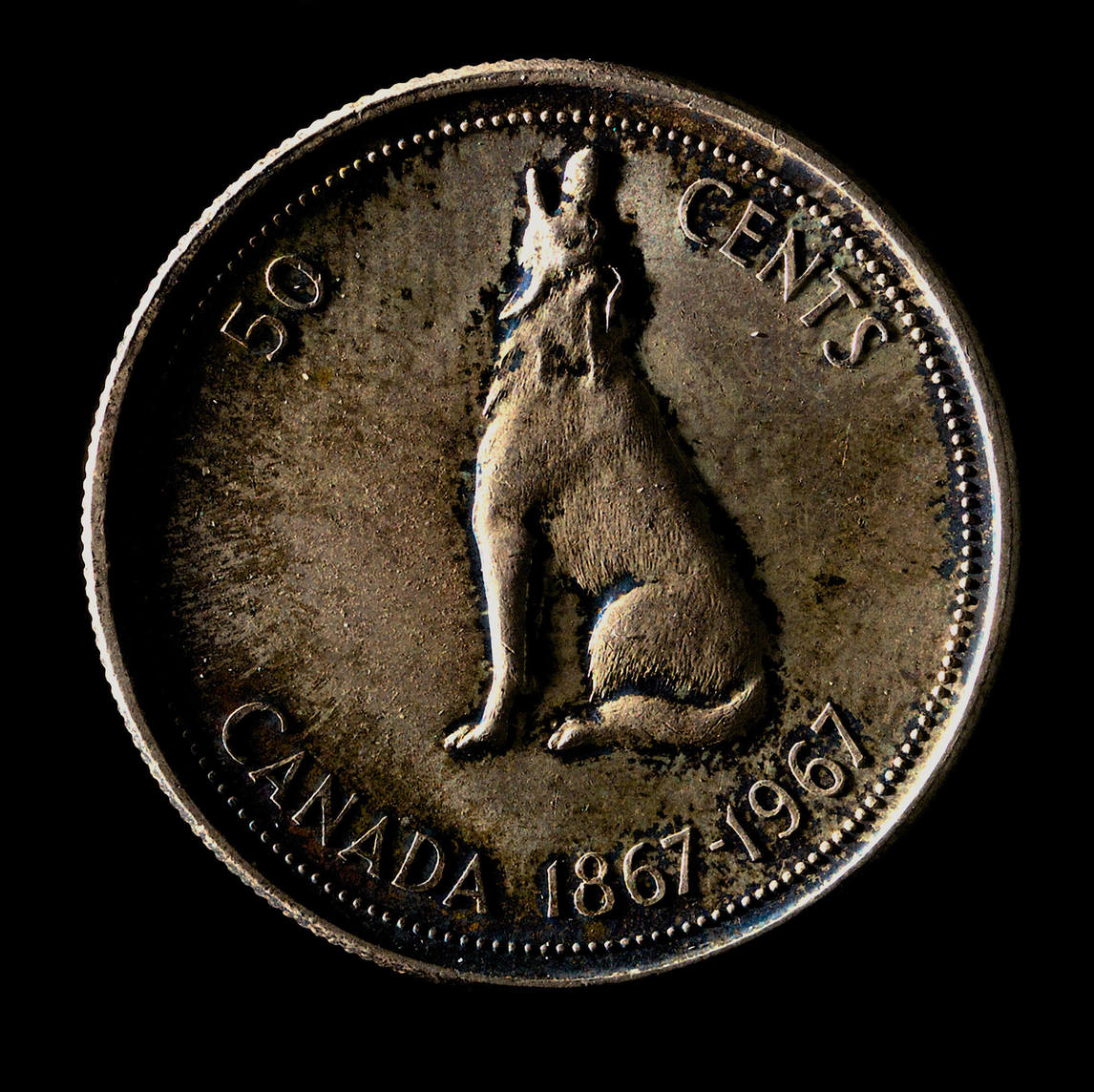 Art Canada Institute, Alex Colville, Colville Wolf 6275 (Half Dollar)