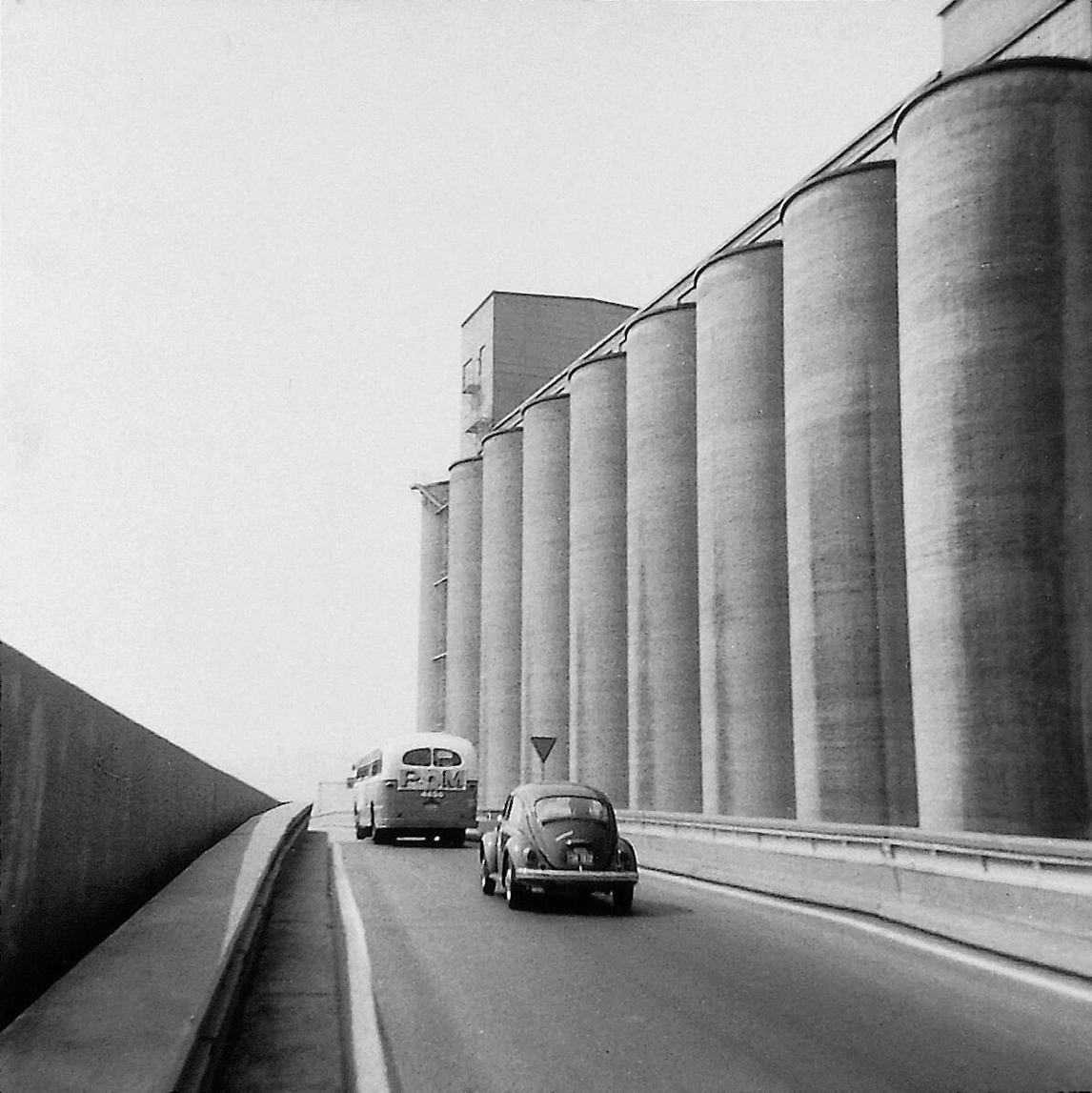 Promenade entre le Musée d’art contemporain et le Musée des beaux-arts de Montréal, 1970, par Françoise Sullivan.