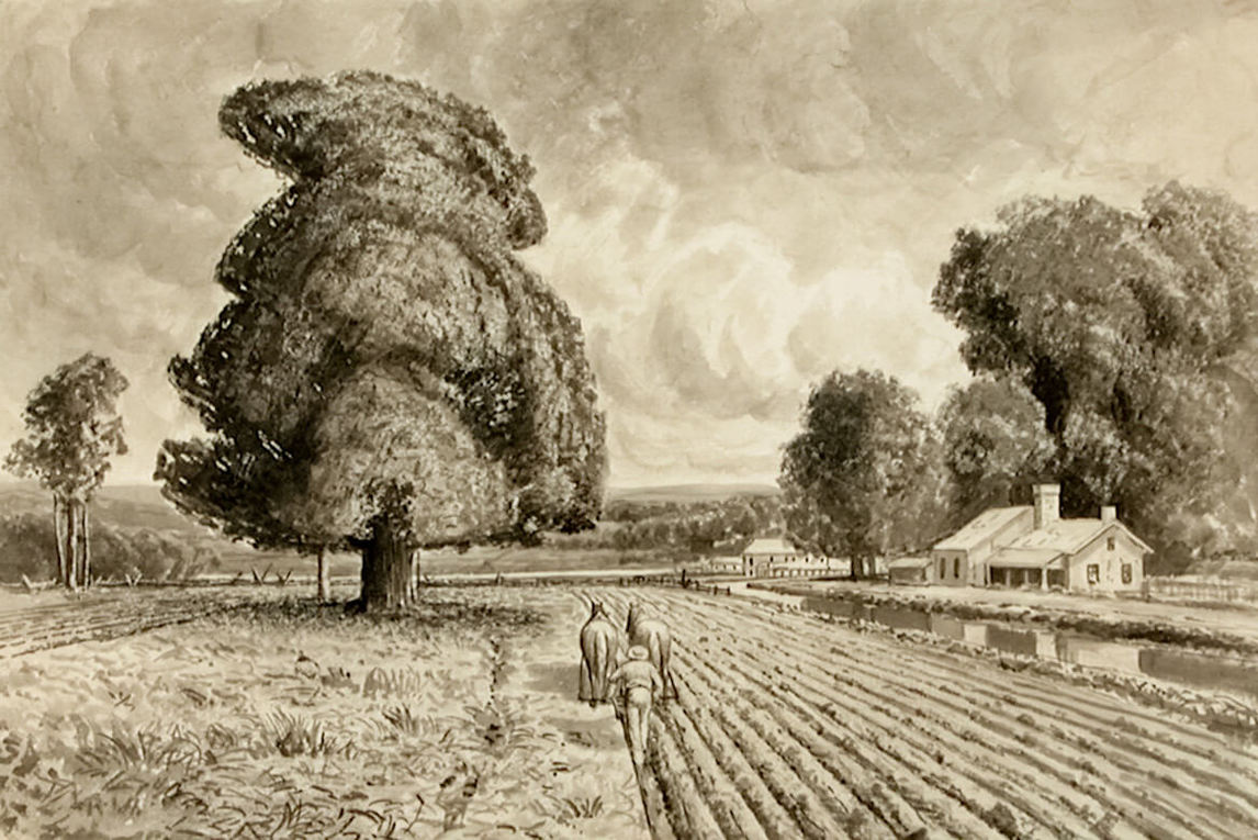 Drawing for A Land of Thrift (Le pays de la frugalité), v.1883, par Homer Watson