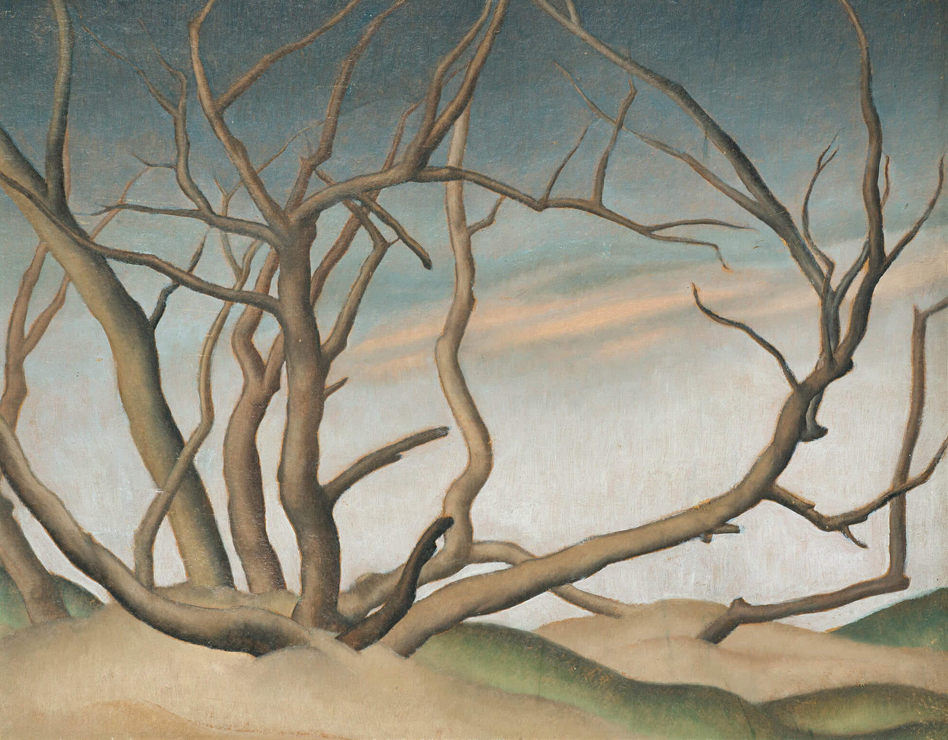 Bertram Brooker, Manitoba Willows, c.1929–31