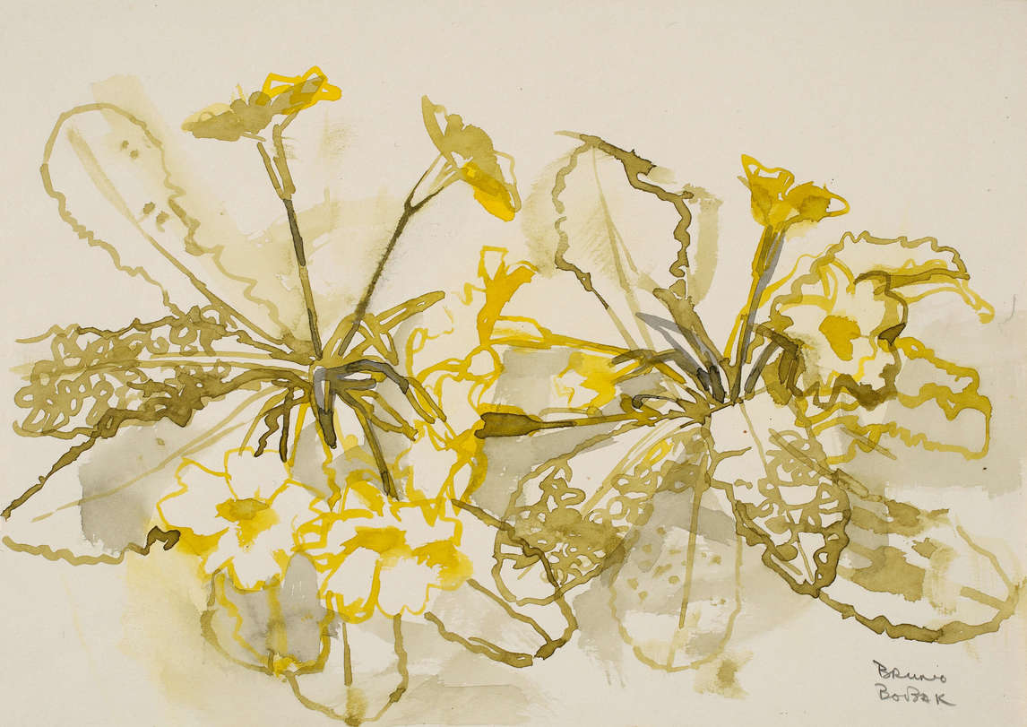 Bruno Bobak, Primroses