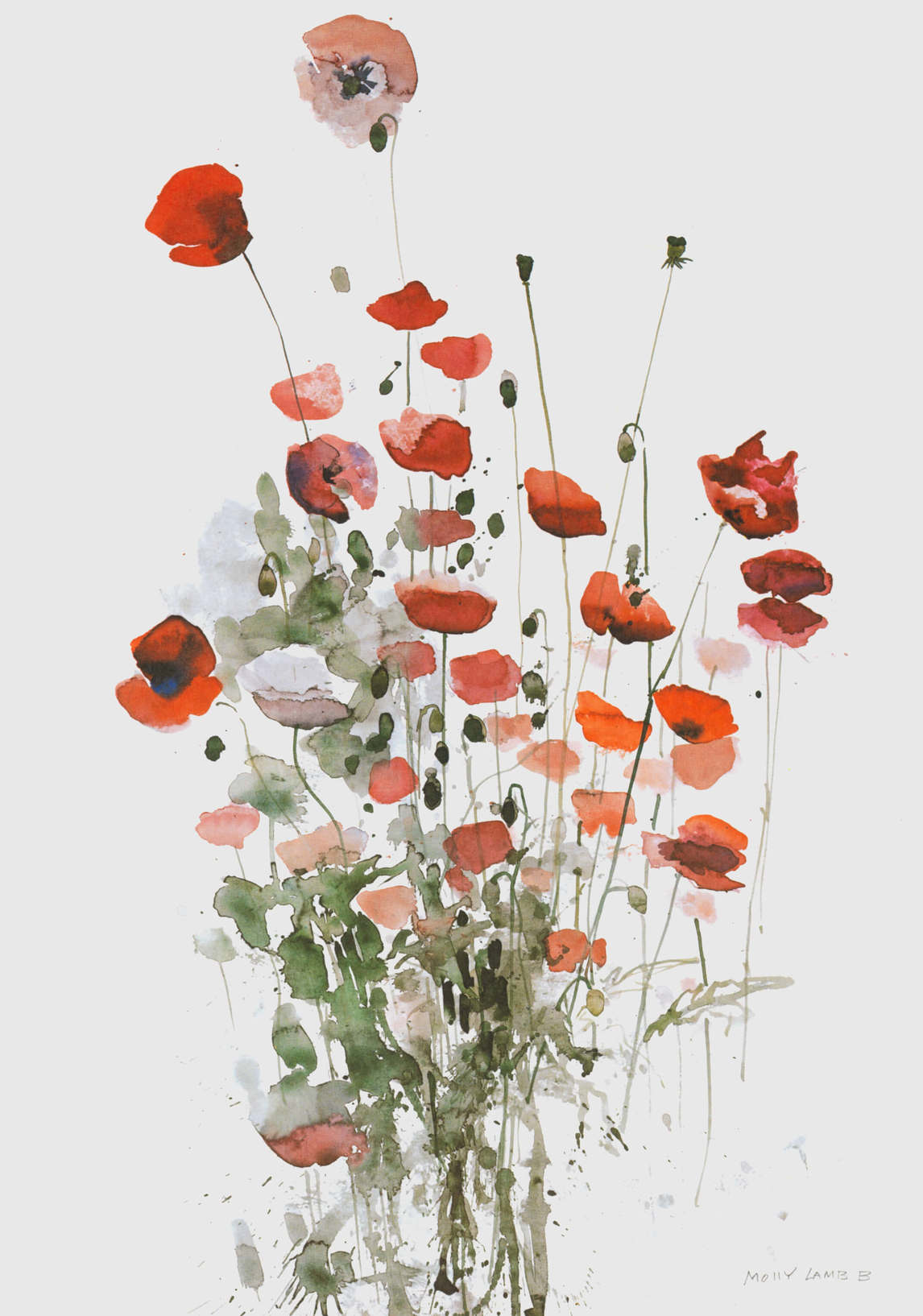 Molly Lamb Bobak, “Red Poppies,” from Wild Flowers of Canada: Impressions and Sketches of a Field Artist