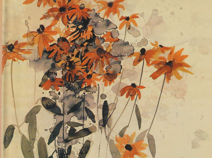 Wild Flowers of Canada: Impressions and Sketches of a Field Artist