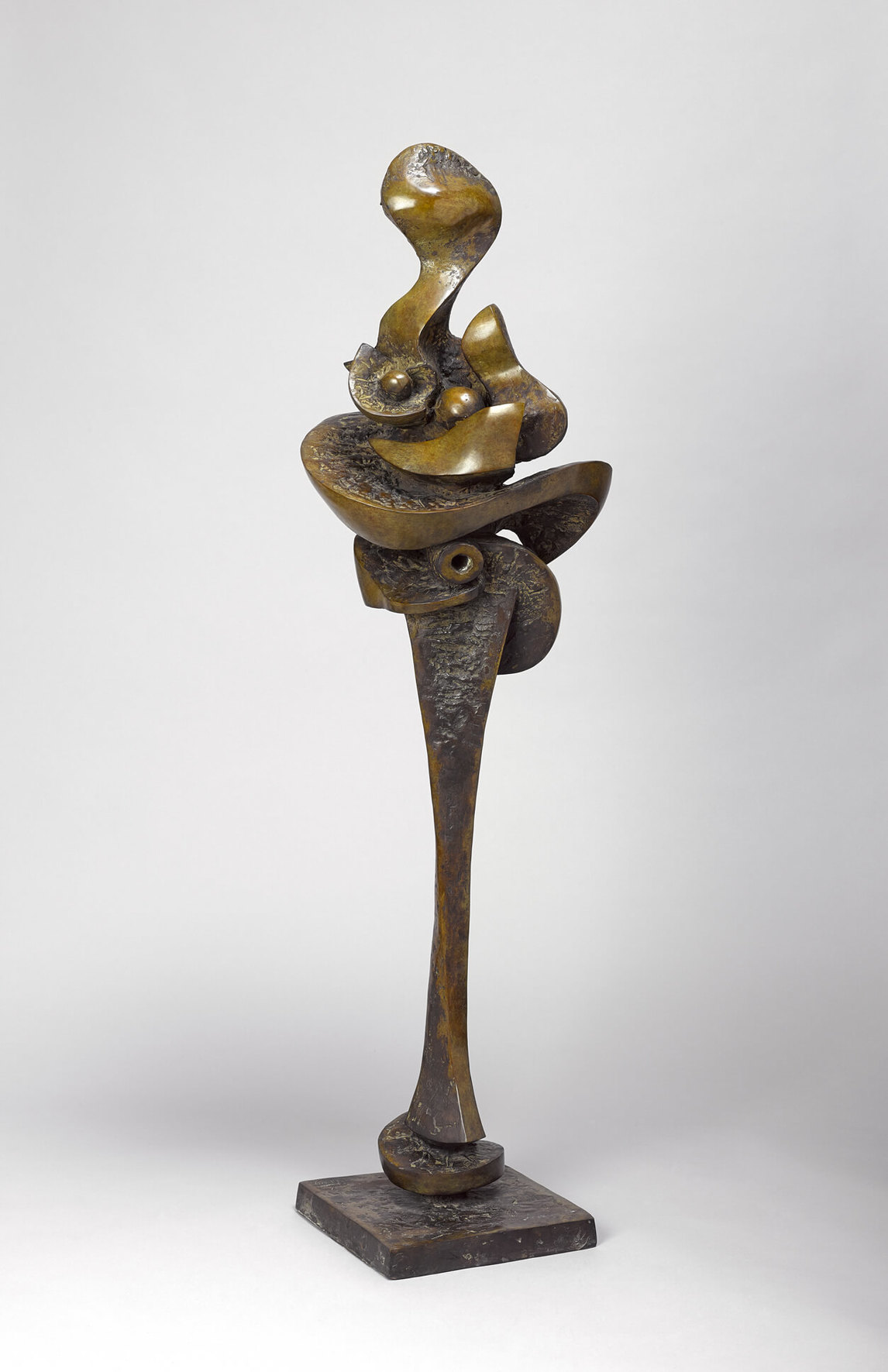 Blossom (Floraison), 1960-1961