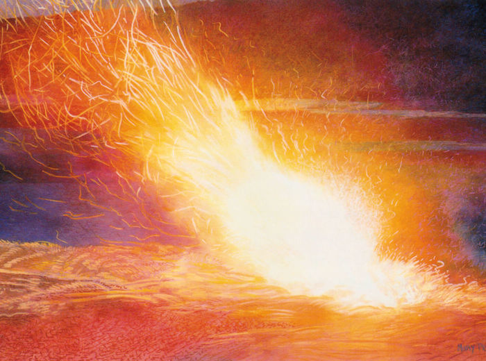 Rhododendron en flammes, 1990