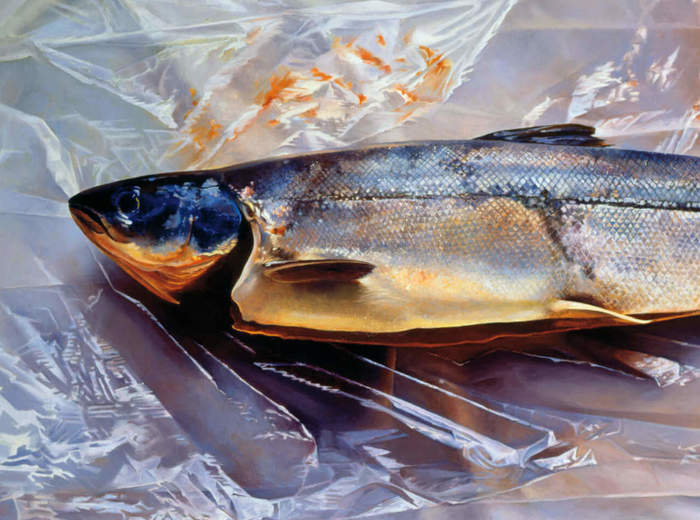 Salmon on Saran, 1974