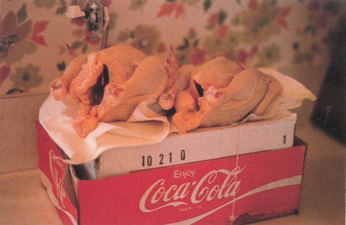 Diapositive 35 mm utilisée comme source pour Eviscerated Chickens (Poulets éviscérés), 1971