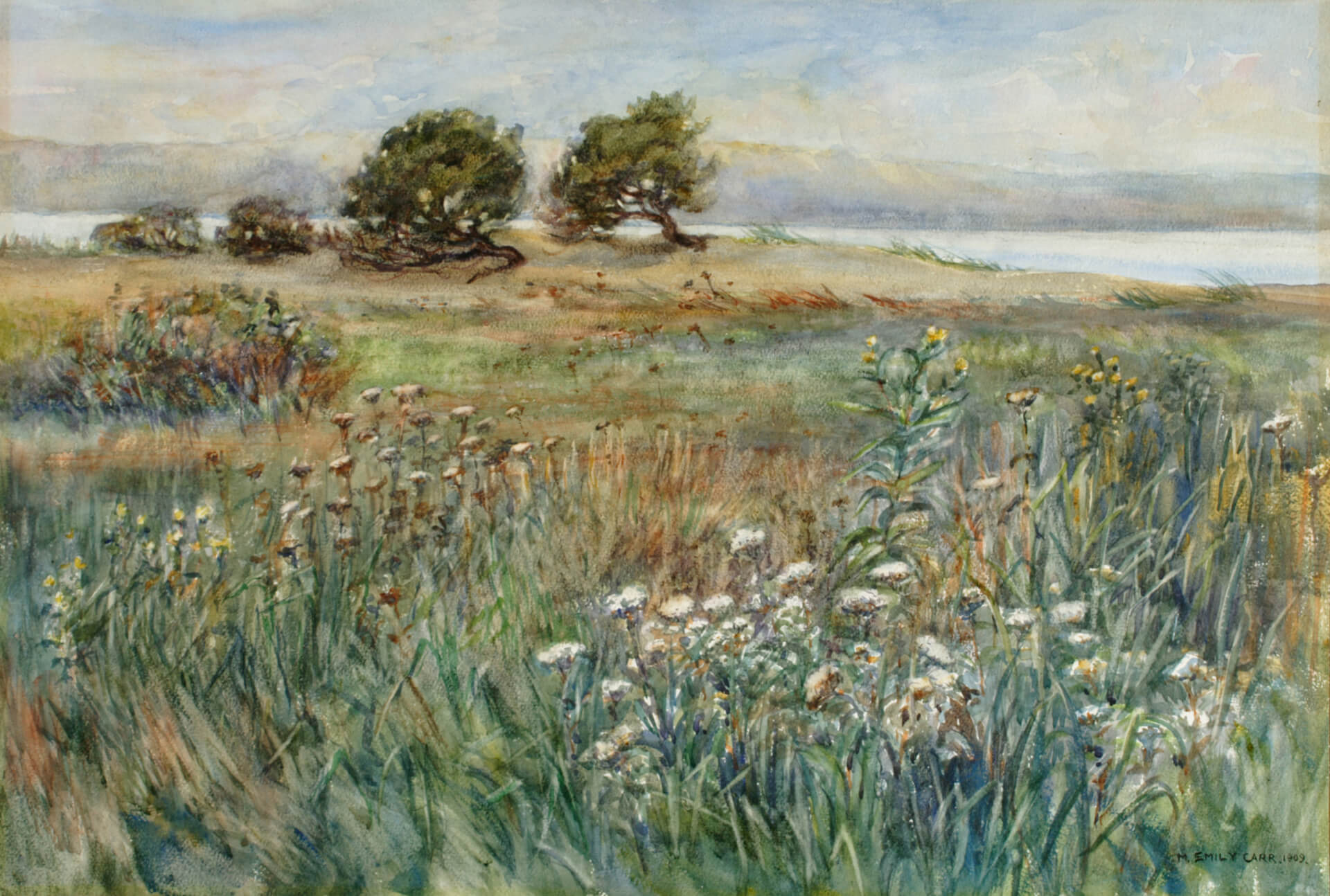 Emily Carr, Parc Beacon Hill, 1909
