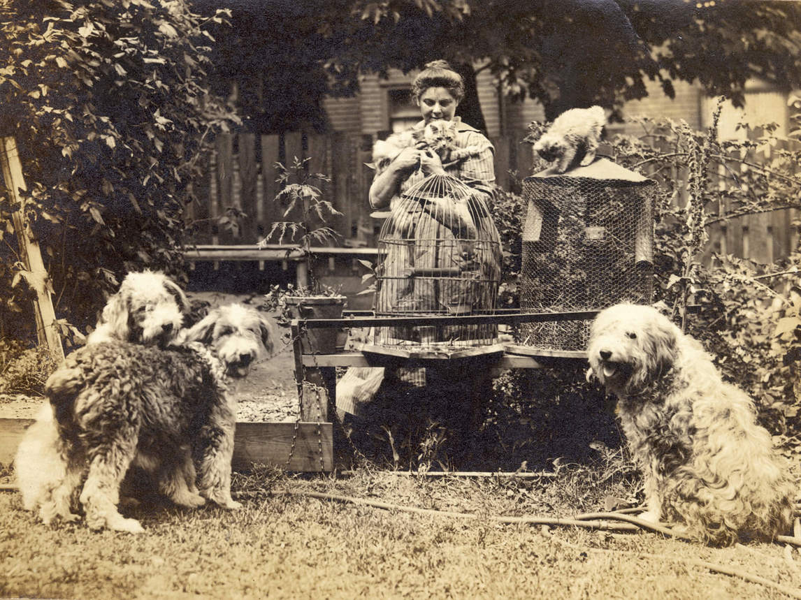 (Emily Carr with pets, 1918)
1. Pets: Emily Carr had many pets, including cats, chipmunks, a parrot, and a monkey.