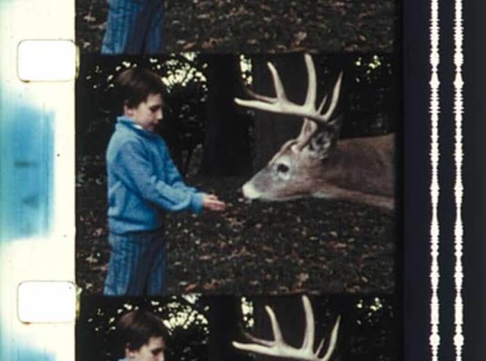 Jack Chambers, Le cerf de London, 1968-1970