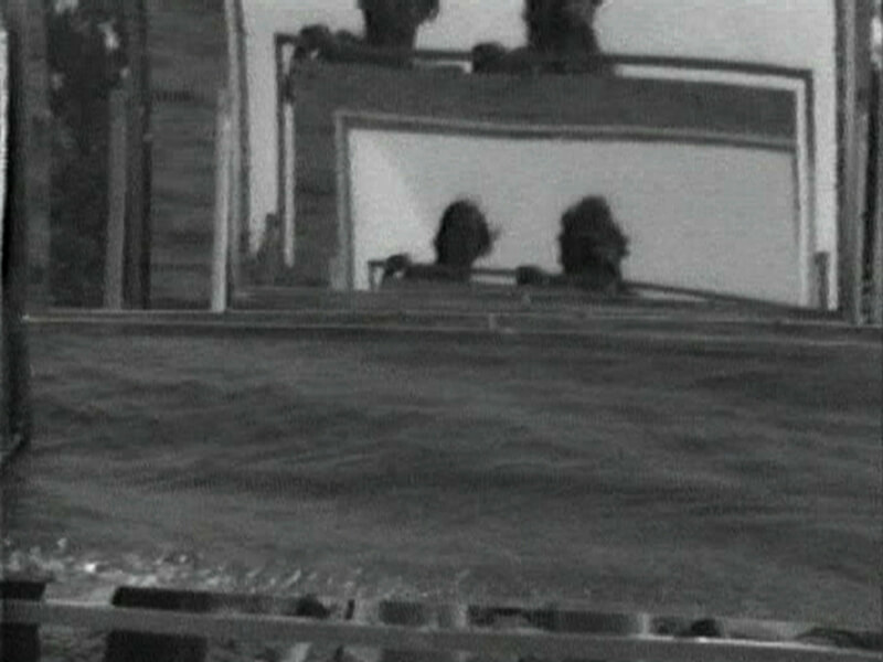 General Idea, Double Mirror Video (A Borderline Case), 1971