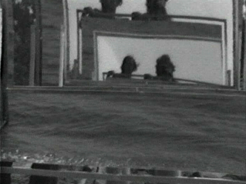 Art Canada Institute, General Idea, ouble Mirror Video (A Borderline Case), 197