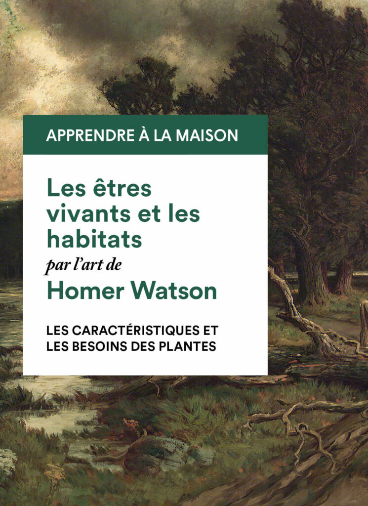 Homer Watson : les caractéristiques et les besoins des plantes