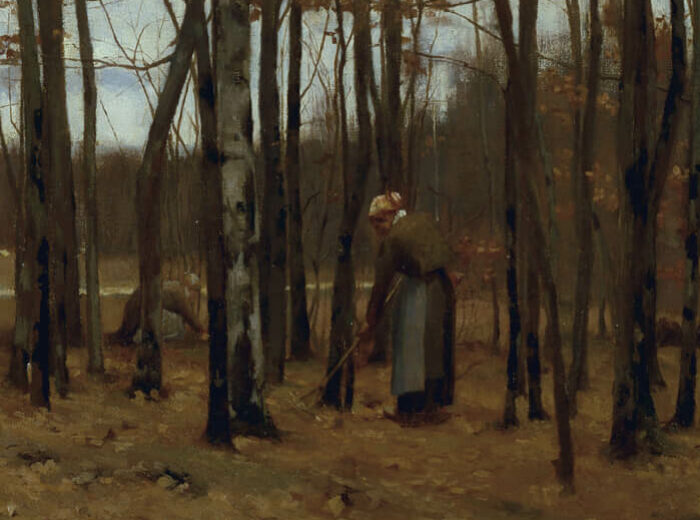 Border of the Forest of Fontainebleau, 1885