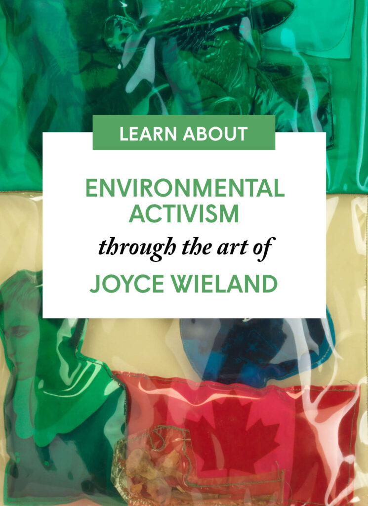 Environmental Activism through the art of Joyce Wieland