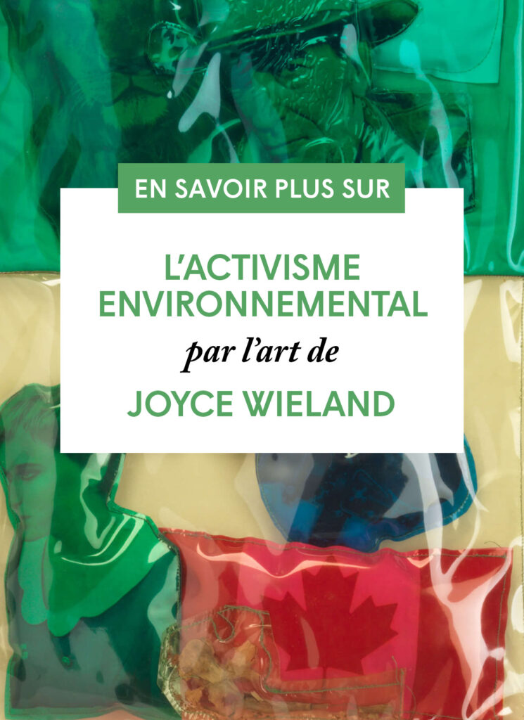 L’activisme environnemental par l’art de Joyce Wieland