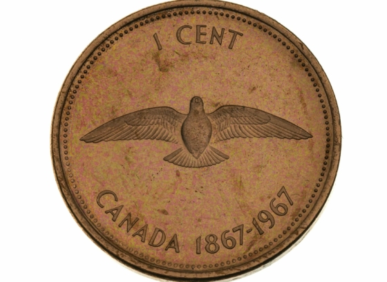 The Measure of Nature: Alex Colville's Centennial Coins