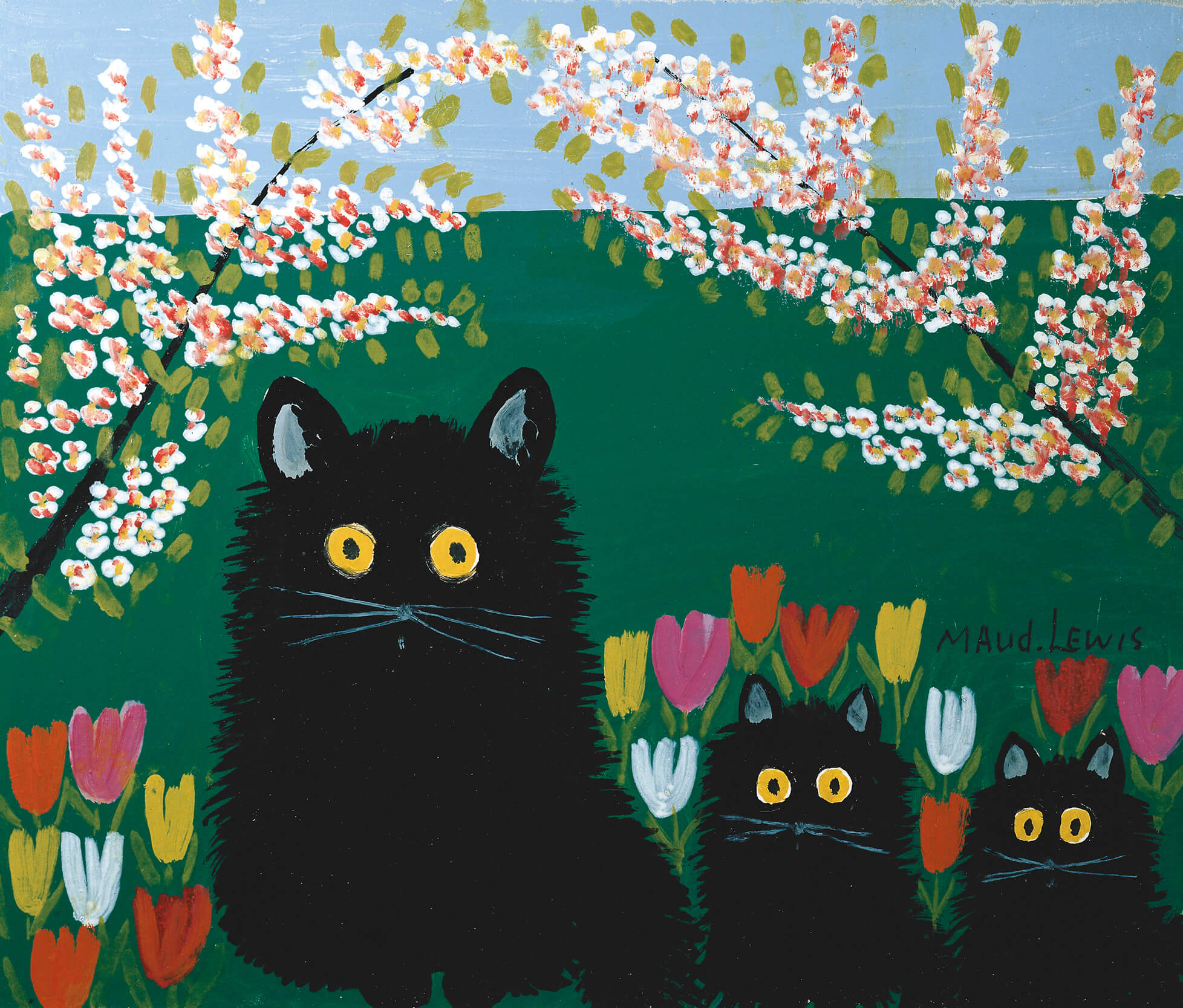 Trois chat noirs, 1955