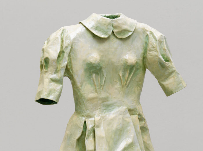 Gathie Falk, Dress with Insect Box, 1998