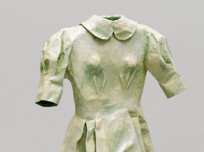 Gathie Falk, Robe avec boîte à insectes, 1998