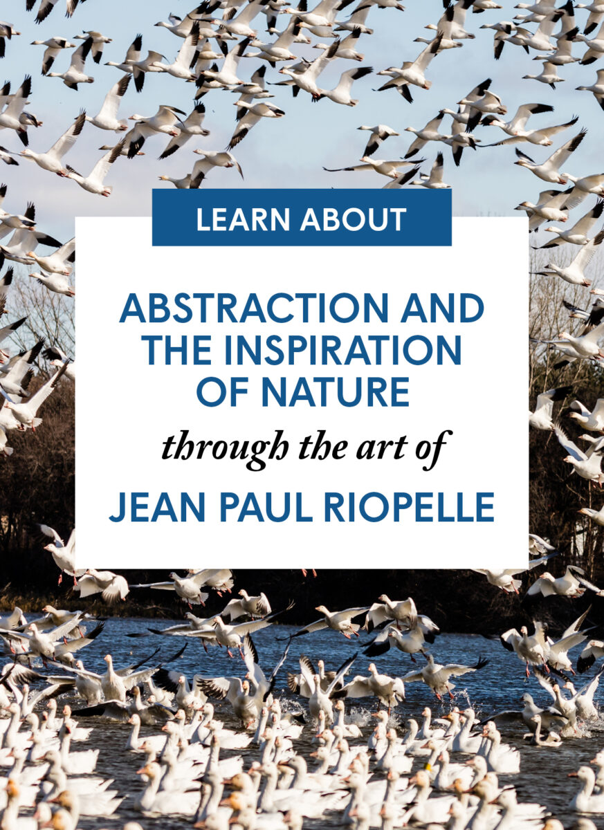 Abstraction and the Inspiration of Nature through the art of Jean Paul Riopelle