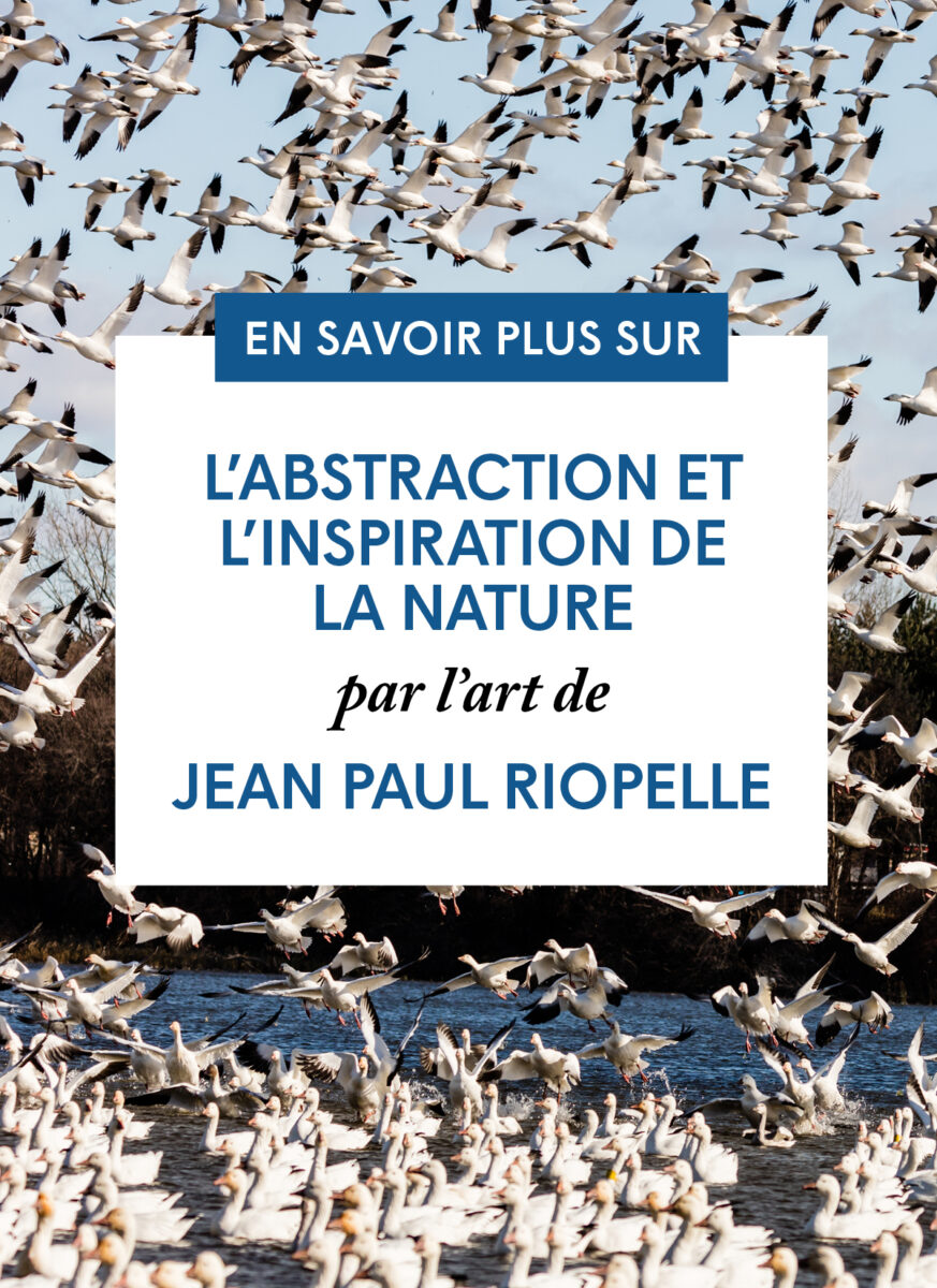 L'abstraction et l'inspiration de la nature par l'art de Jean Paul Riopelle