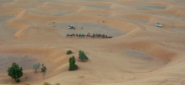 Lands Within: Re-Orienting Representations<br>of Southwest Asia and North Africa