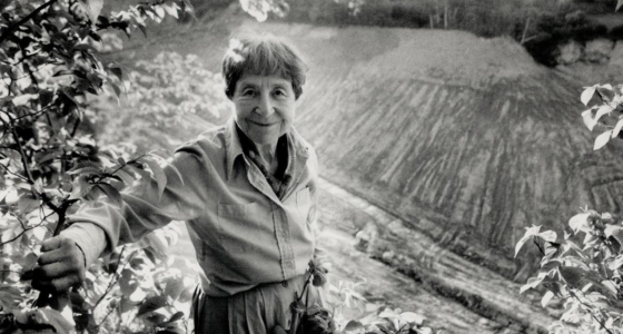 Doris McCarthy: Life & Work