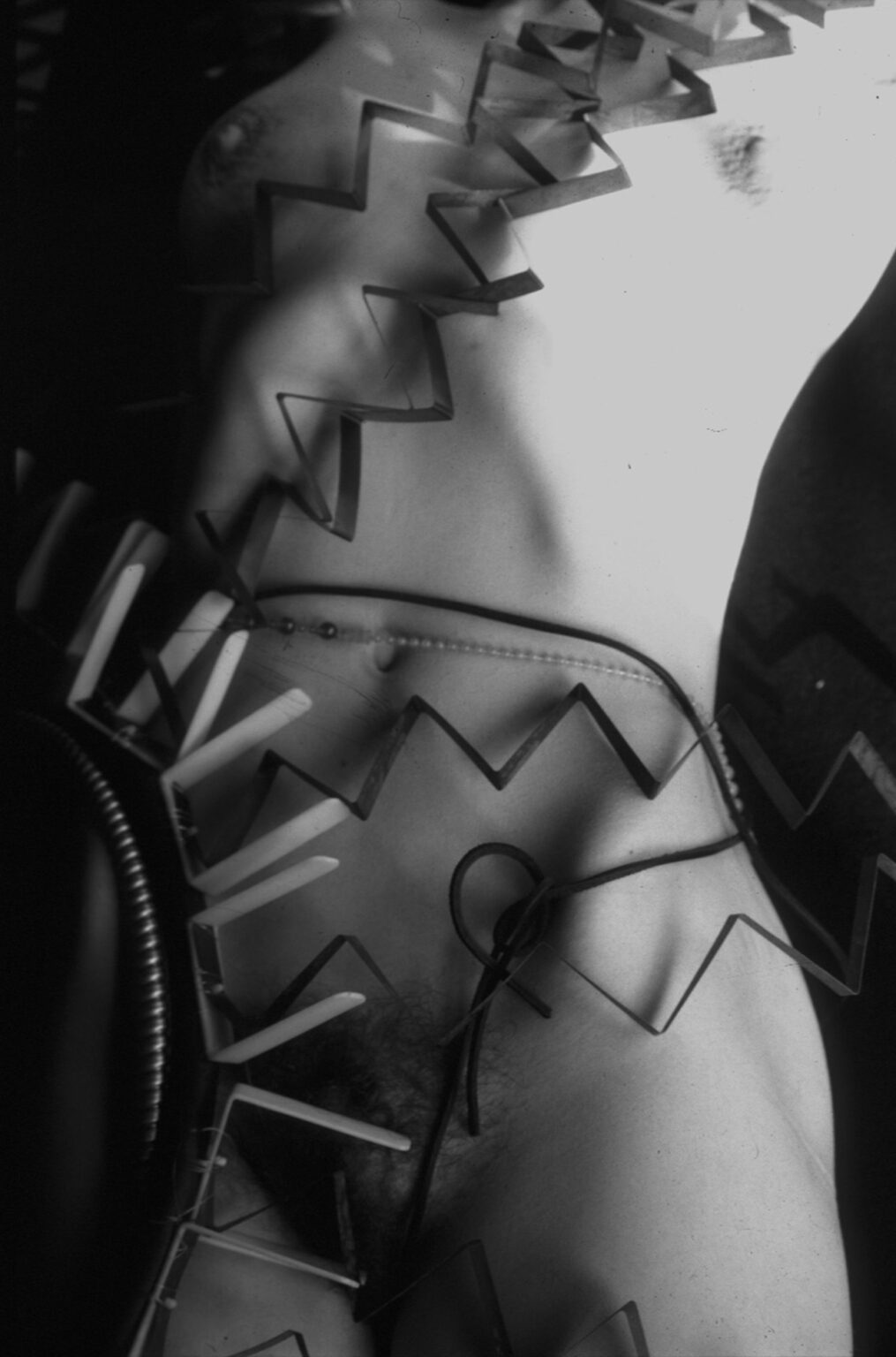 Her Tongue on My Theory: Images, Essays and Fantasies